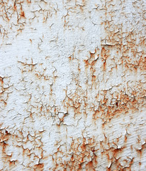 A rusty old metal plate with cracked white gloss paint.