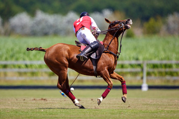 joueur de polo &agrave; cheval