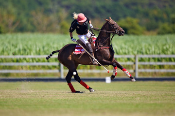joueur de polo &agrave; cheval