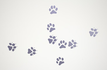Pet footprints