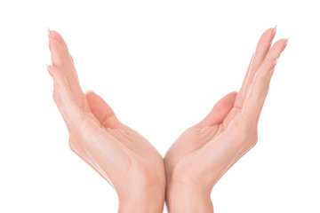 woman hands isolated on white background