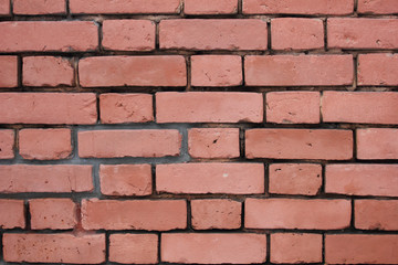 Obraz premium Brick wall