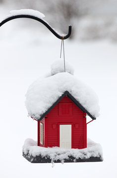 Snow Covered Red Bird House