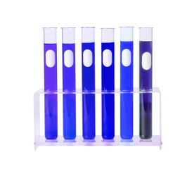 Medical test tubes in holder on white background