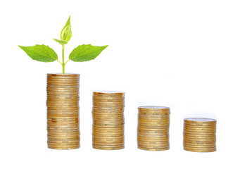 Many coins in column and green plant isolated on white