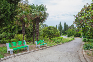  bench in the park