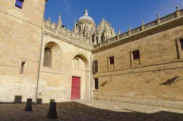 Obraz premium Old Cathedral. Salamanca