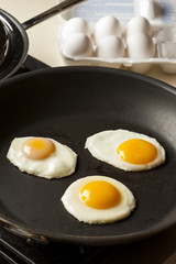 Organic Sunnyside up Egg