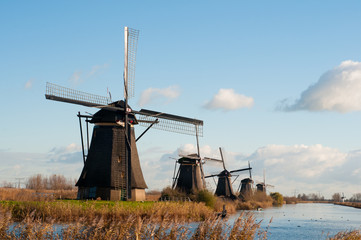 Fototapeta premium Traditional dutch windmills in the Netherlands in Kinderdijk