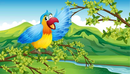 Photo sur Plexiglas Animaux de la forêt Un perroquet coloré sur fond vert