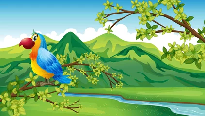  Een papegaai bij de rivieroever © GraphicsRF