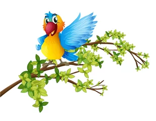 Papier Peint photo autocollant Oiseaux, abeilles Un perroquet coloré sur une branche d& 39 arbre