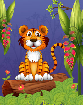 A tiger sitting in a wood