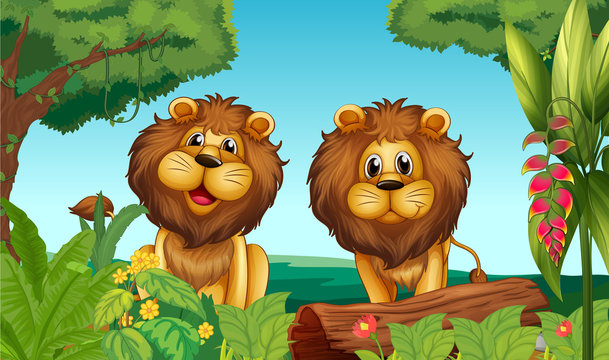 Two lions in the forest