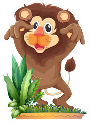A lion