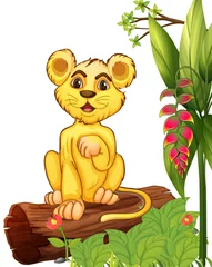  Een kleine tijger zittend in een bos © GraphicsRF