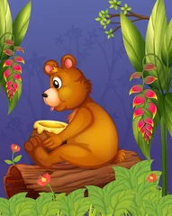 Foto op Plexiglas Beren Een beer zittend in een bos