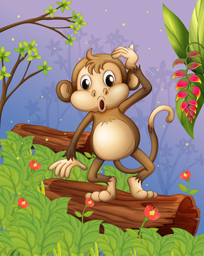 A monkey playing in the garden