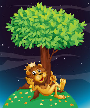 A king lion under a tree