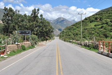 el camino de la vida