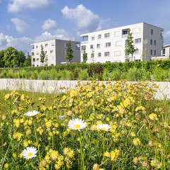 Frühling im Stadtpark