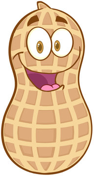 Peanut Cartoon Mascot Character