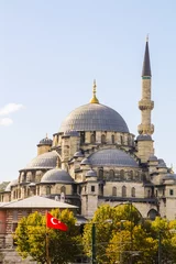 Foto op Plexiglas Yeni Camii, Istanbul © lizcoughlan