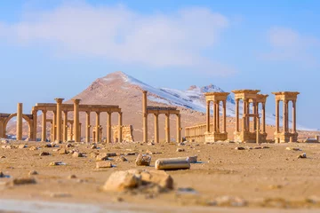 Foto auf Alu-Dibond Ancient Roman time city in Palmyra, Syria. © trofotodesign