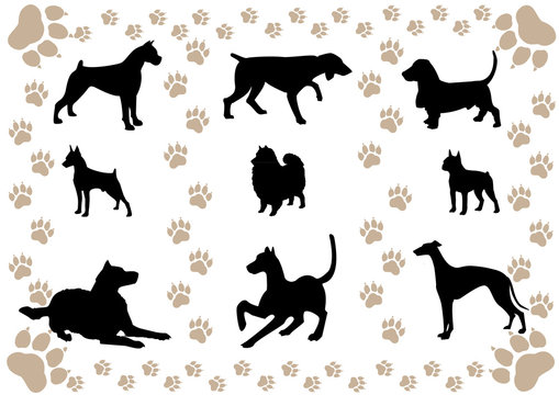 cover with the silhouettes of the dogs