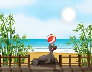  Een zeehond die met de bal speelt © GraphicsRF