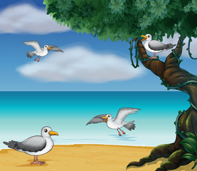 Vögel am Meer
