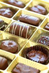 Chocolate Box