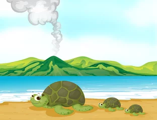  Een vulkaanstrand en schildpadden © GraphicsRF