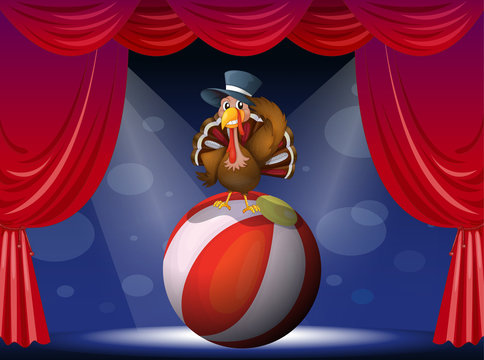 A turkey performing on stage with a ball