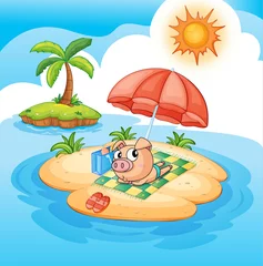 Poster Een varken aan het zonnen © GraphicsRF