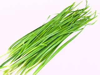Garlic chives  isolated on white background