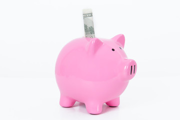 Piggy Bank and Money