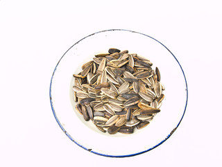 Sunflower seeds in a whith dish isolated on white background as
