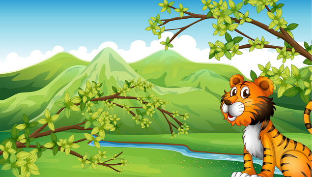 A tiger in a mountain scenery