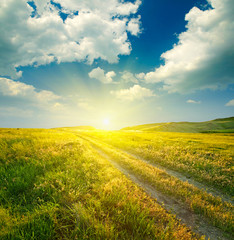 Fototapeta premium Summer landscape with green grass, road and clouds