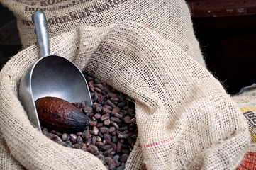 Cacao - cioccolata