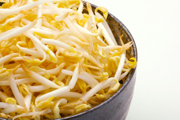 Clouse up beansprout in white background