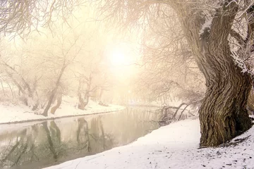 Papier Peint photo Hiver Winter landscape river Zagyva in Hungary