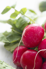 Fresh radish