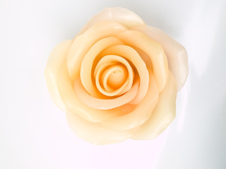 A light pink rose's candle isolated on white background