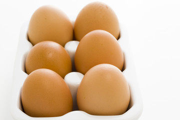 Fresh eggs