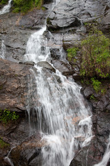 waterfall over stones with bushes on the side