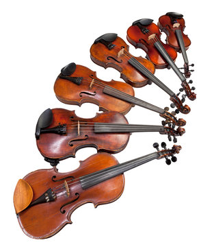 six sizes of violins