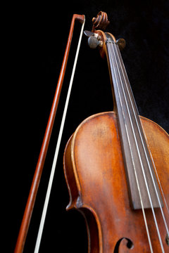 fiddle neck and bow on black