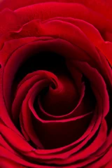 Rolgordijnen Valentijn rode roos © lapas77